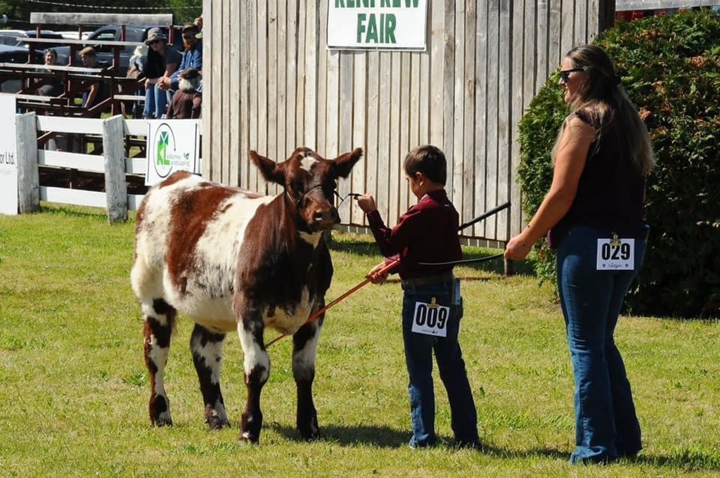 Junior Cow Judging - Renfrew Fair