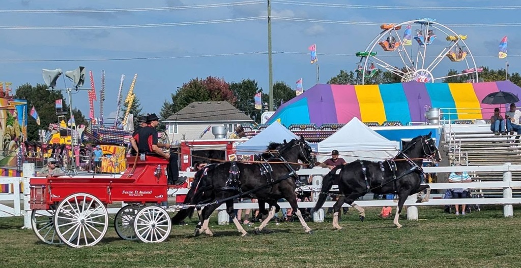 3 Horse Hitch Wagon - Richmond Fair