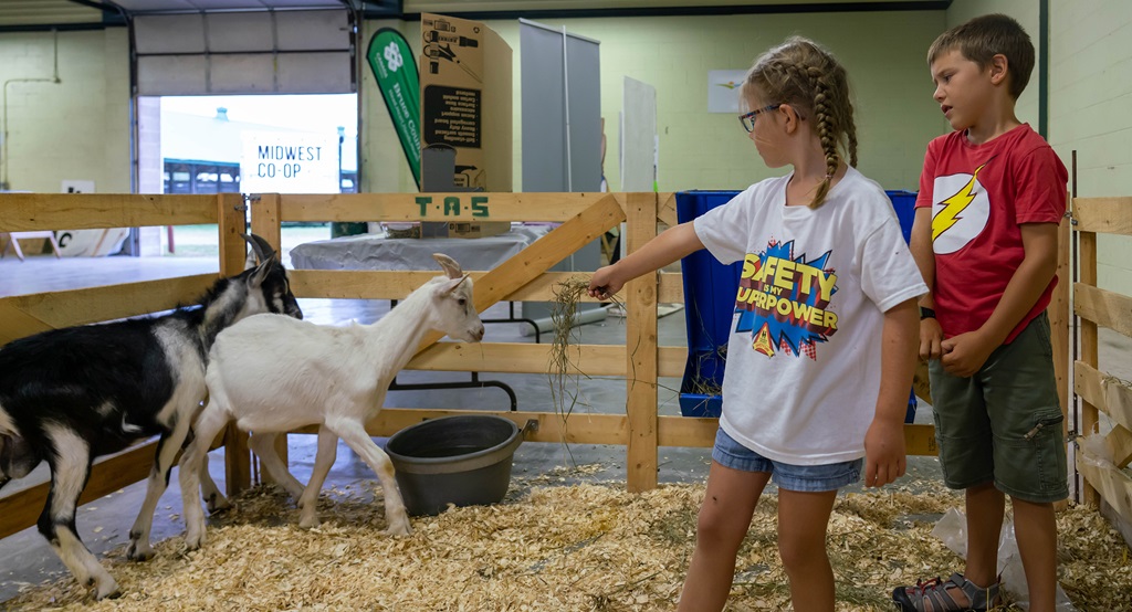 Petting Area - Teeswater Fair