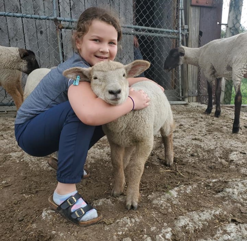 For the Love of the Lamb - Feversham Fall Fair