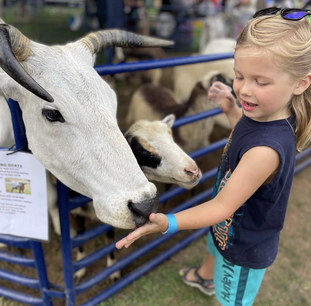 Petting Zoo - Georgetown Fall Fair