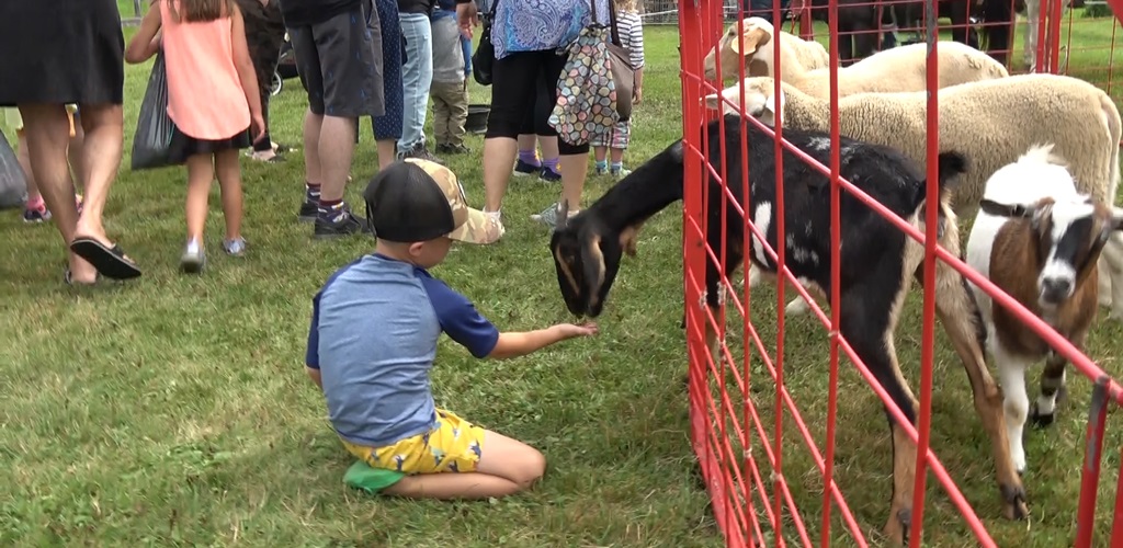 Petting Zoo - Magnetawan Fall Fair
