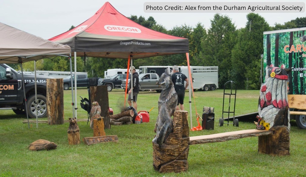 Chainsaw Carving - Markham Fall Fair