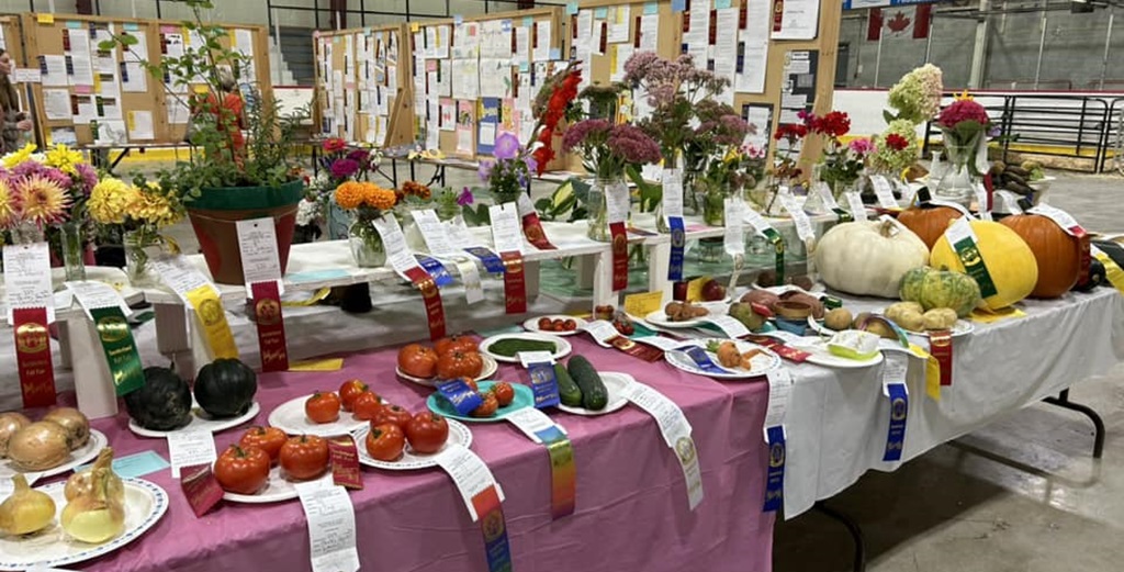 Homecrafts Table - Sunderland Fall Fair