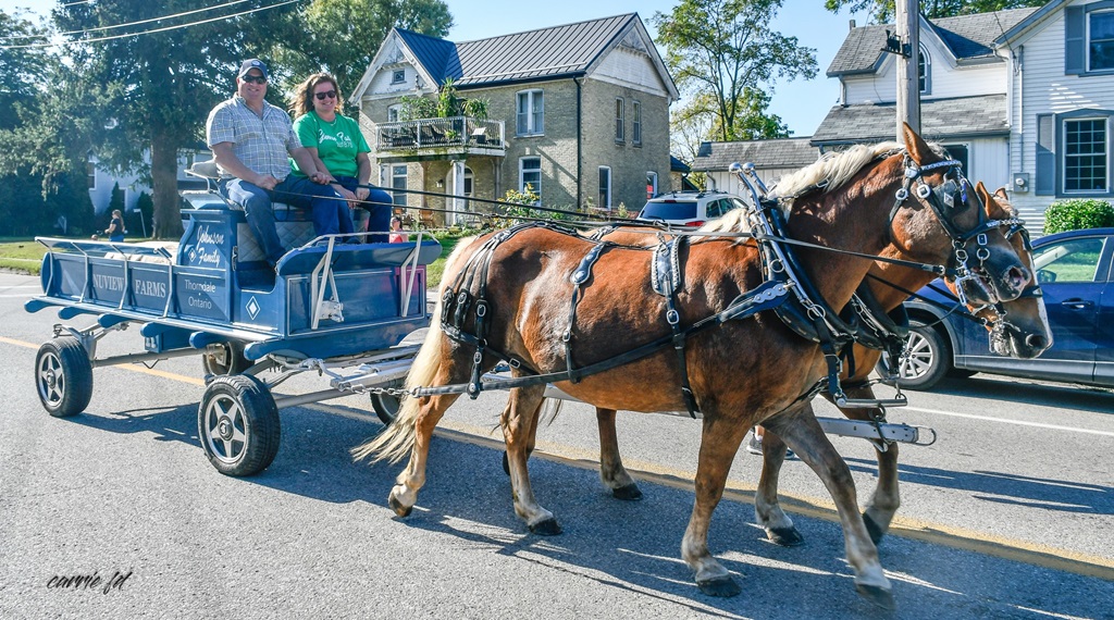Two Hitch Wagon - Glencoe Fair