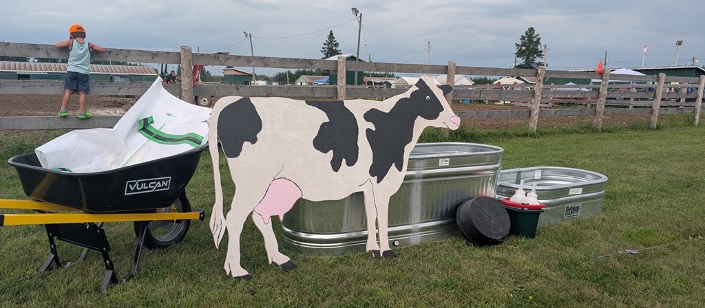 Cow Exhibit - Laird Fair