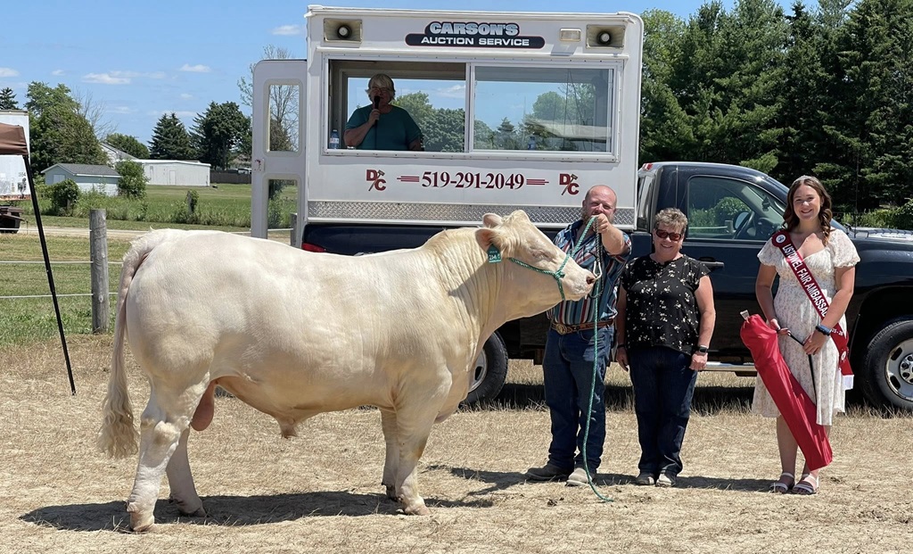 Beef Show - Listowel Fair