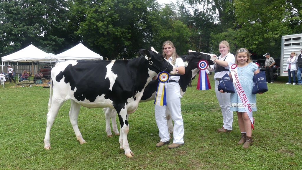 Cow Winners - Markham Fall Fair