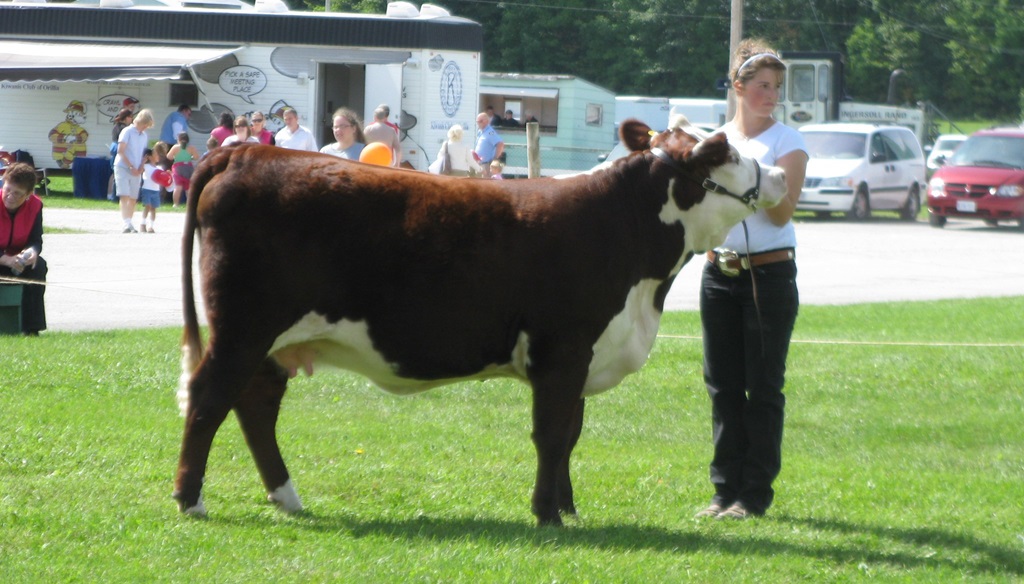 Being Judged - Orillia Fall Fair