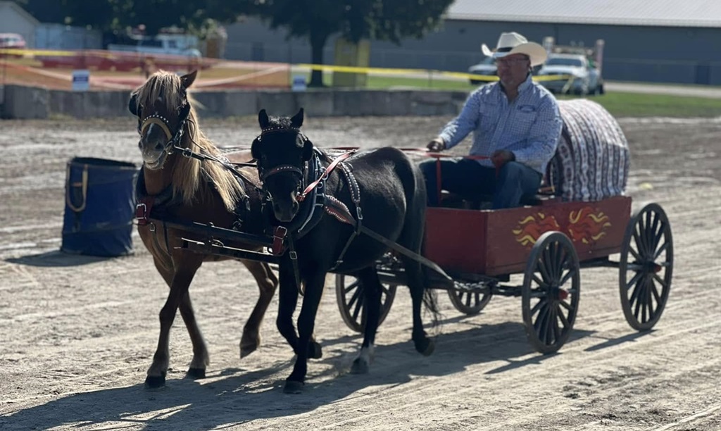 Mini Chuck Wagon Race - Rodney Fair