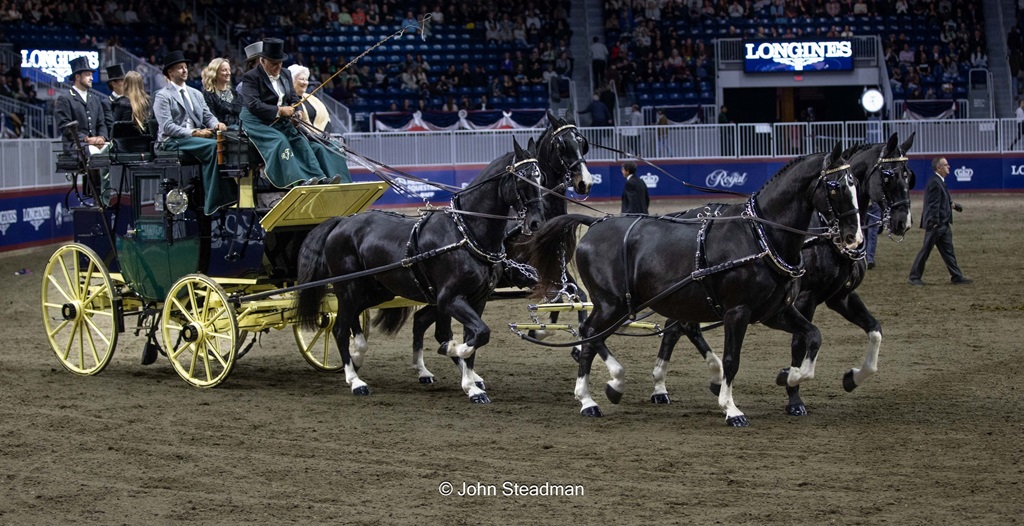 4 Horse Hitch Wagon - Royal Agricultural Winter Fair