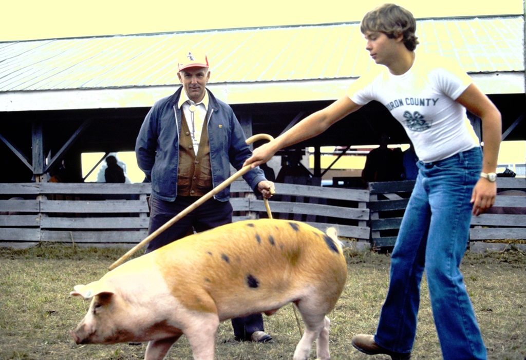 Swine Judging - Seaforth Fall Fair