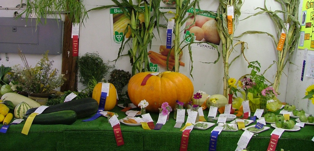 Produce Display - Hymers Fall Fair
