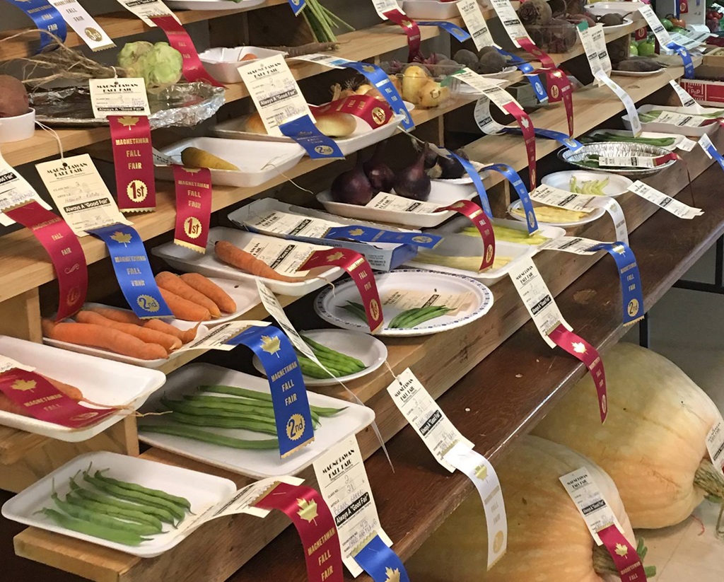 Homecraft Winner - Magnetawan Fall Fair