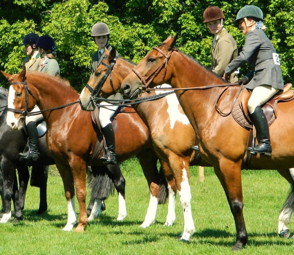 Equestrian Show - Odessa Fair