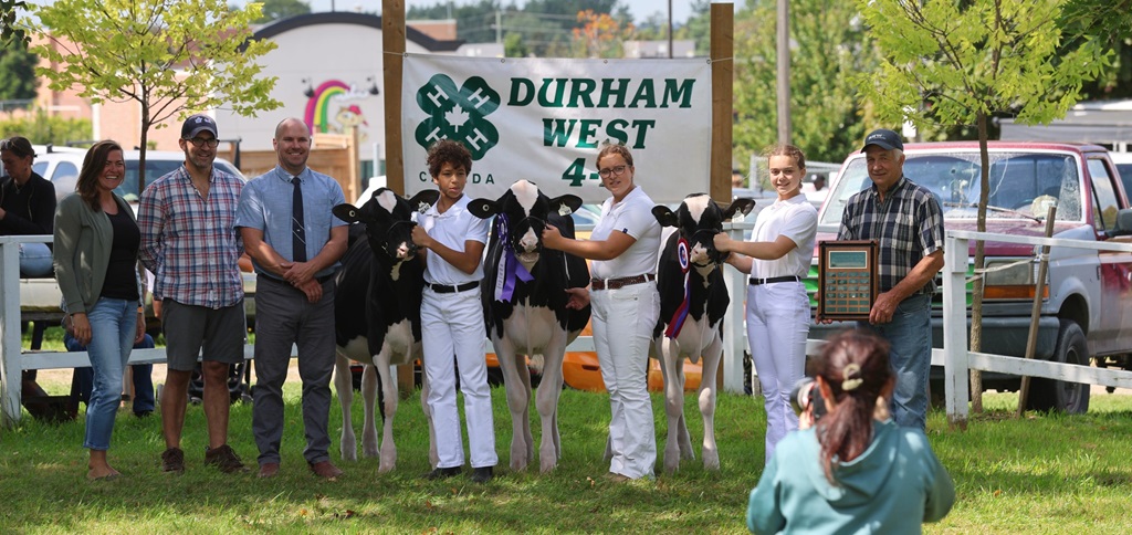 Cow Show Winners - Port Perry Fair