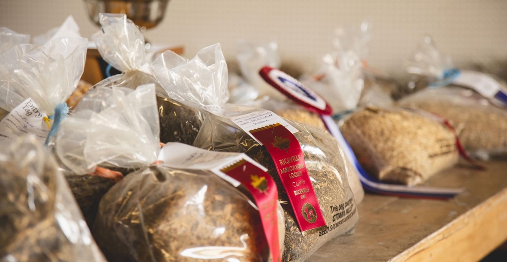 Homecraft Baking - Riceville Fair