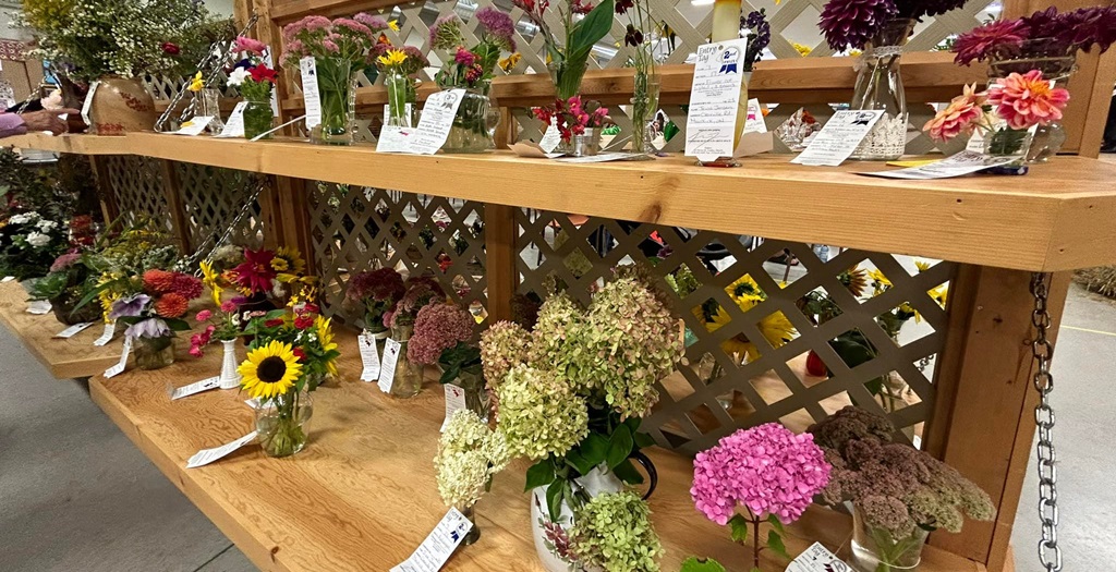 Homecraft Floral Display - Rodney Fair