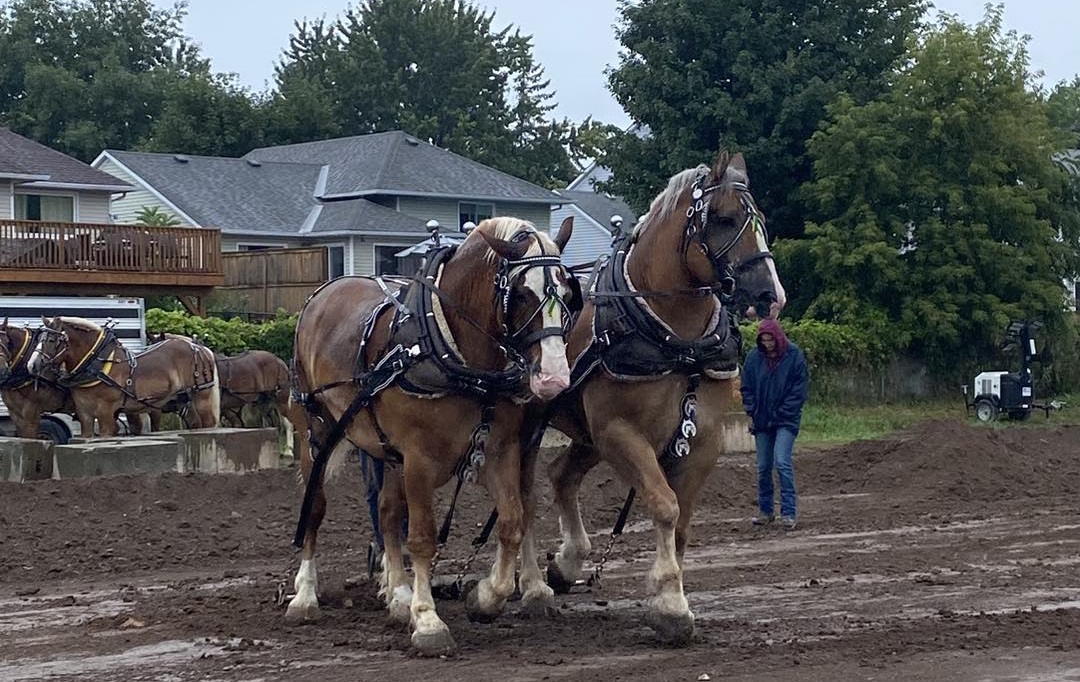 Heavy Hirse Team - Russell Fair