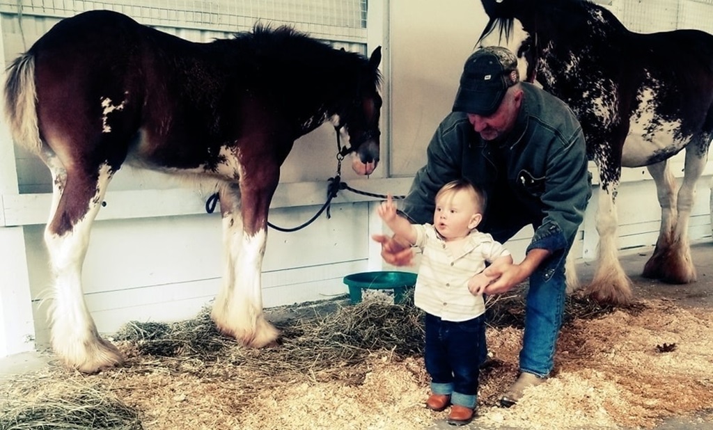 Baby Meets Horse - Shelburne Fair
