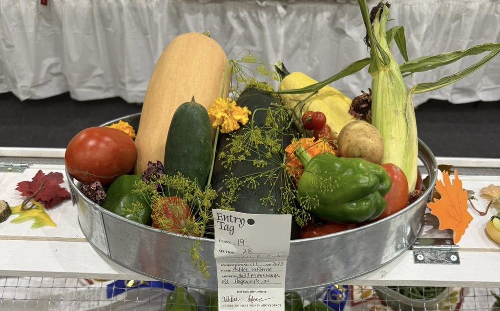 Homecraft Winner - Six Nations Fall Fair