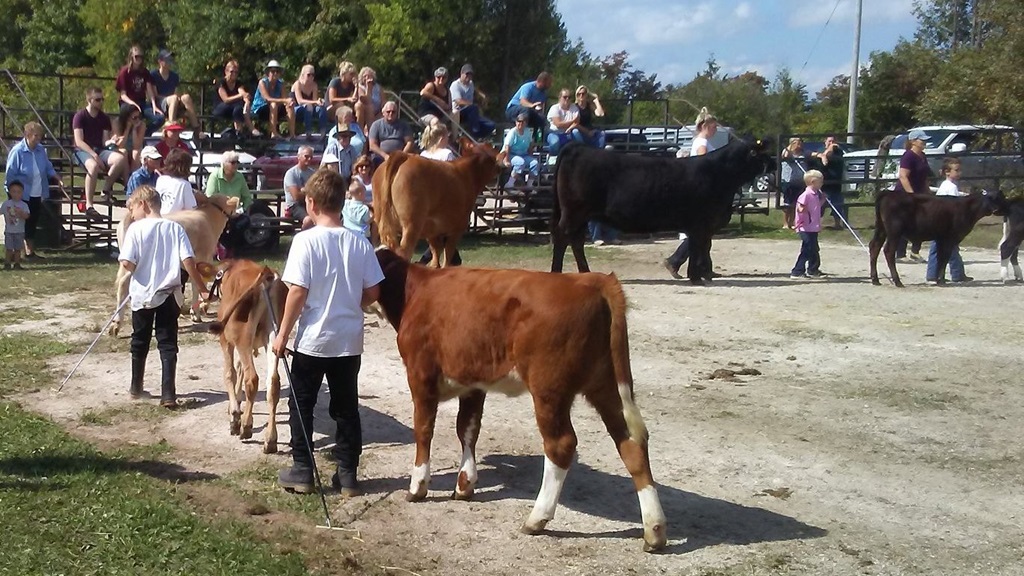 Feversham Fall Fair