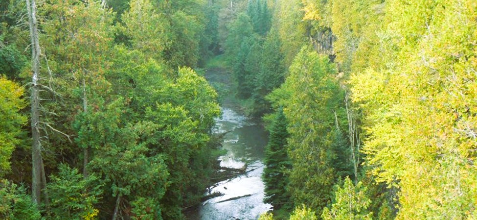 Feversham Gorge