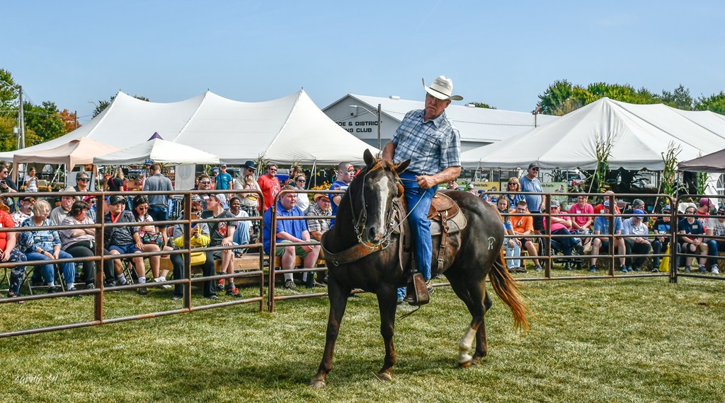 Glencoe Fair