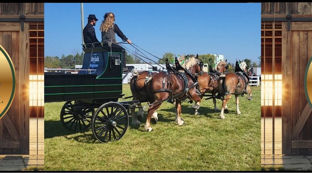 Great Northern Exhibition (GNE)