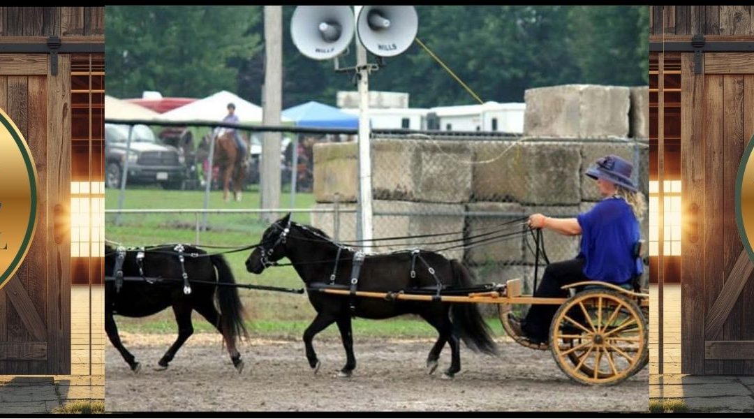 Haliburton County Fair Showcase