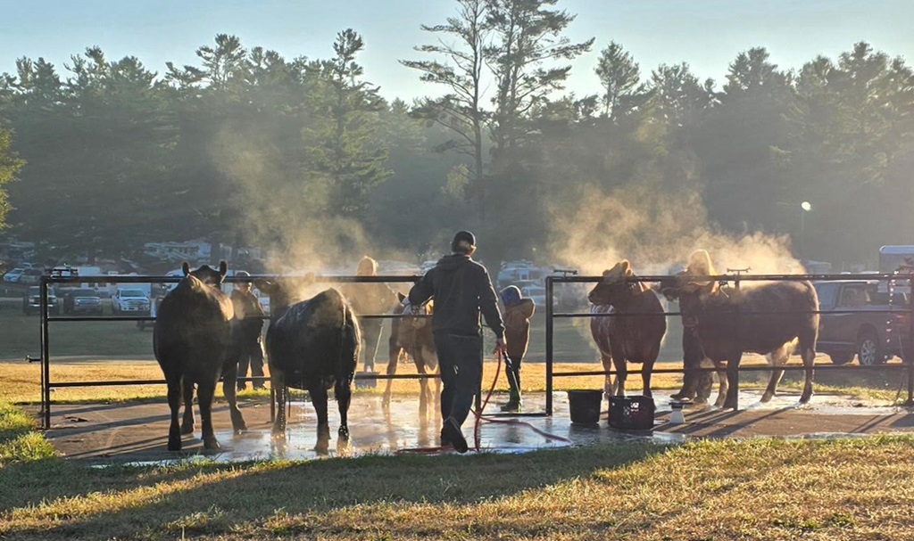 Kinmount Fair
