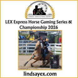LEX Express Horse Gaming Series 2026