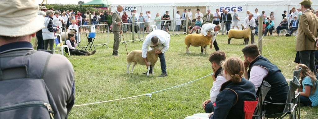 Judging begins at the Lakefield Fair