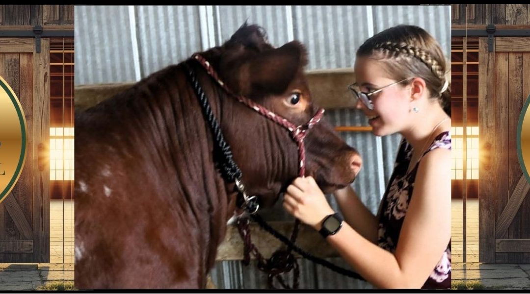 Lakefield Fair Showcase