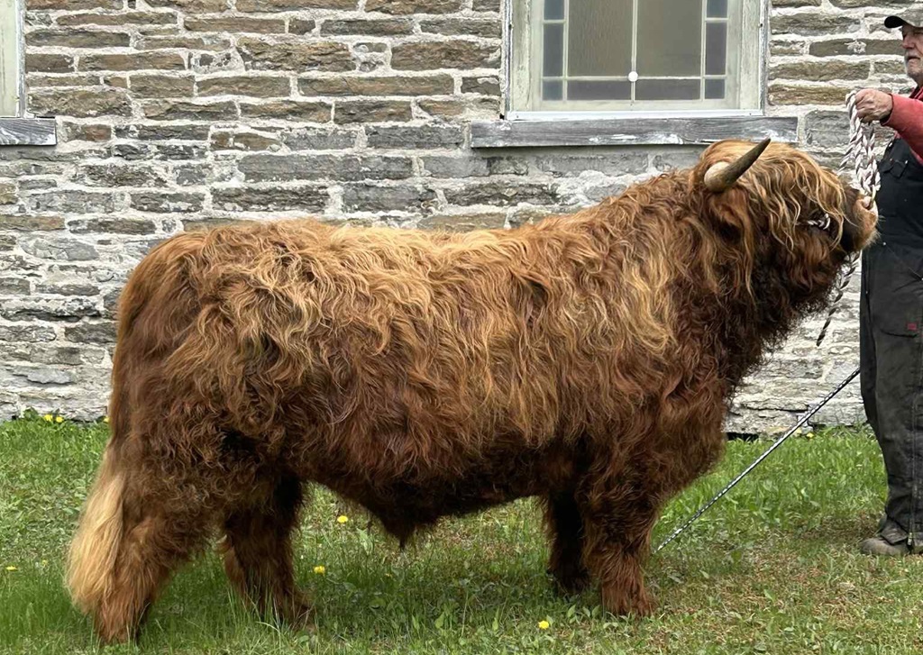 Lombardy Fair Contestant?