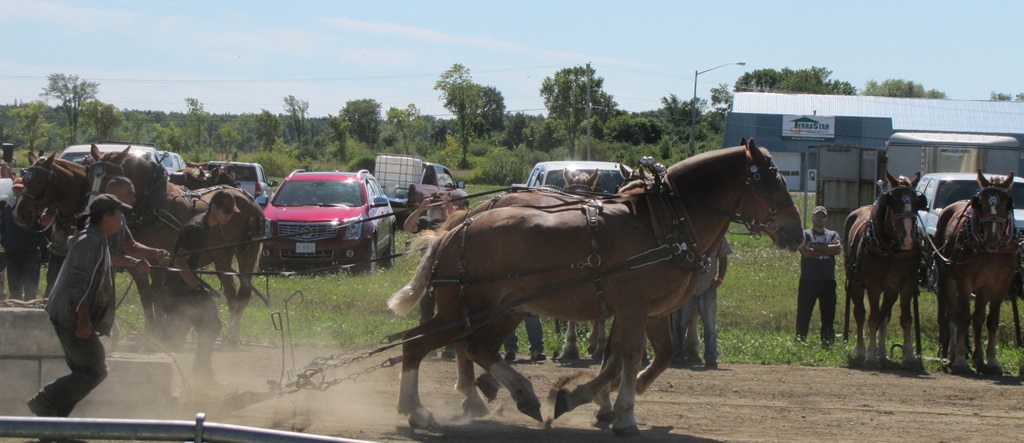 Manitowaning Fall Fair