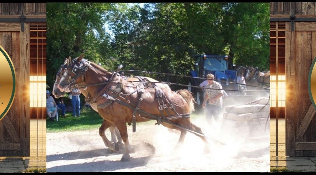 Markdale Fall Fair Showcase