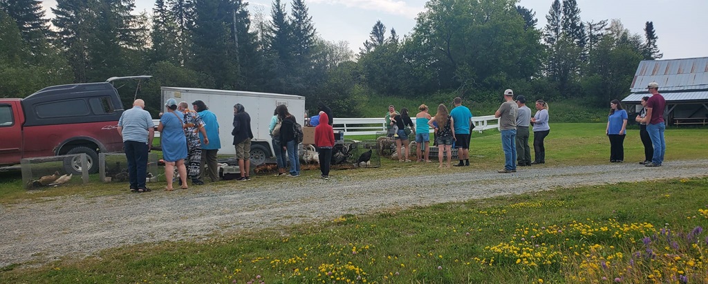 Matheson Fall Fair