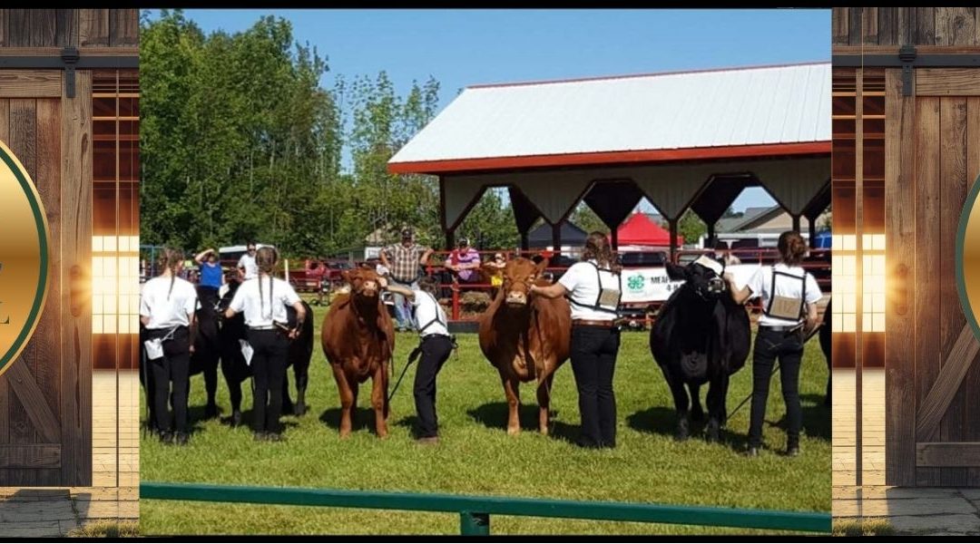 Meaford Fall Fair