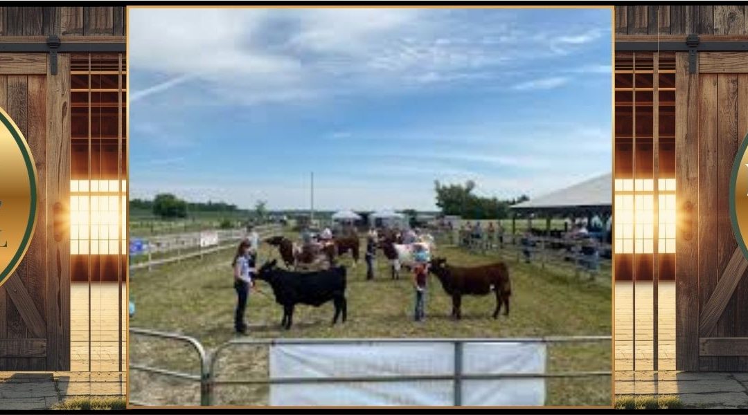 Melbourne Fall Fair Showcase