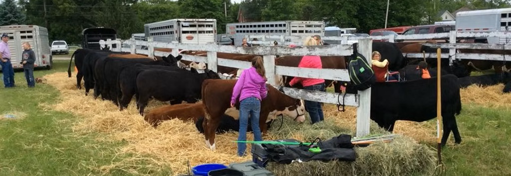 Millbrook Spring Fair