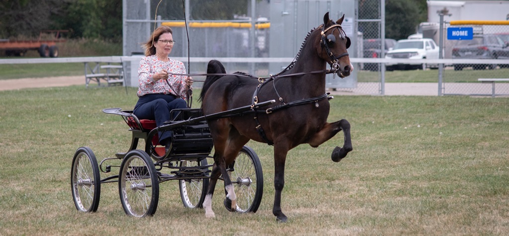 New Hamburg Fall Fair