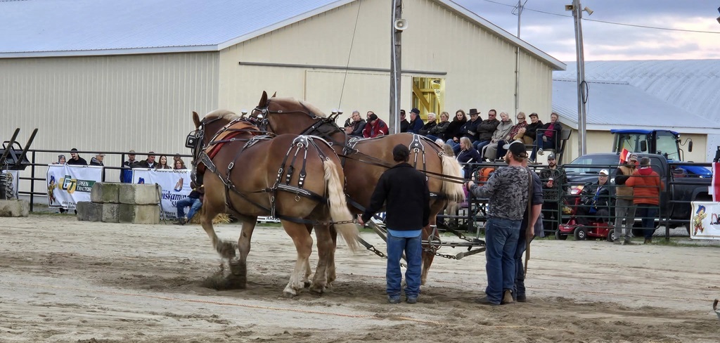 New Liskeard Fall Fair