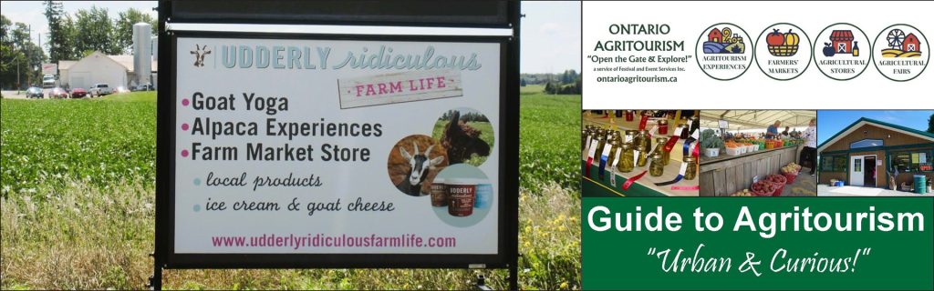 Use Our Guide to Enjoy Your Agritourism Experience!