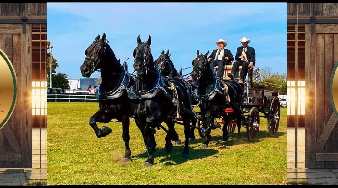 Norfolk County Fair and Horse Show
