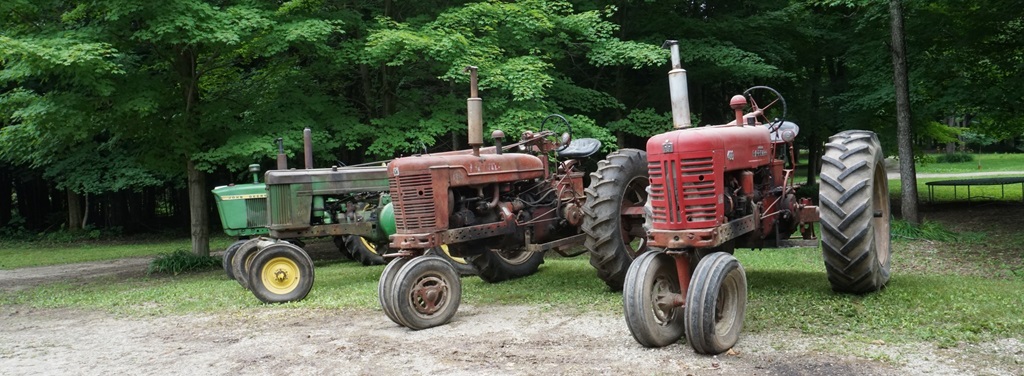 Palmerston Fair - Red tractors lined up in a row