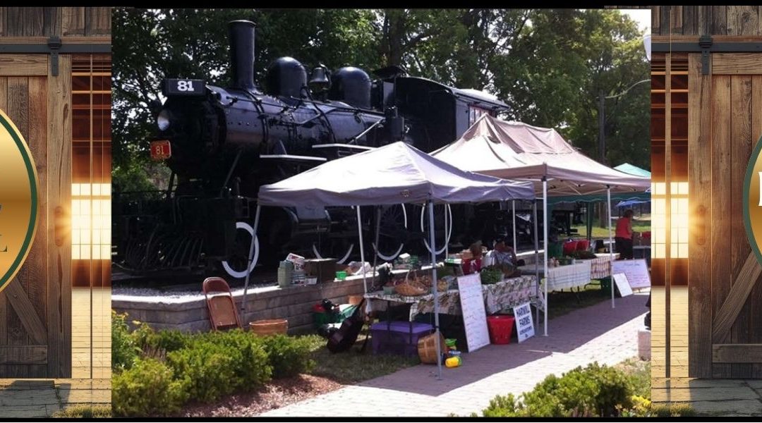 Palmerston Fair Showcase