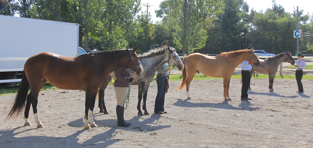 Perth Fair