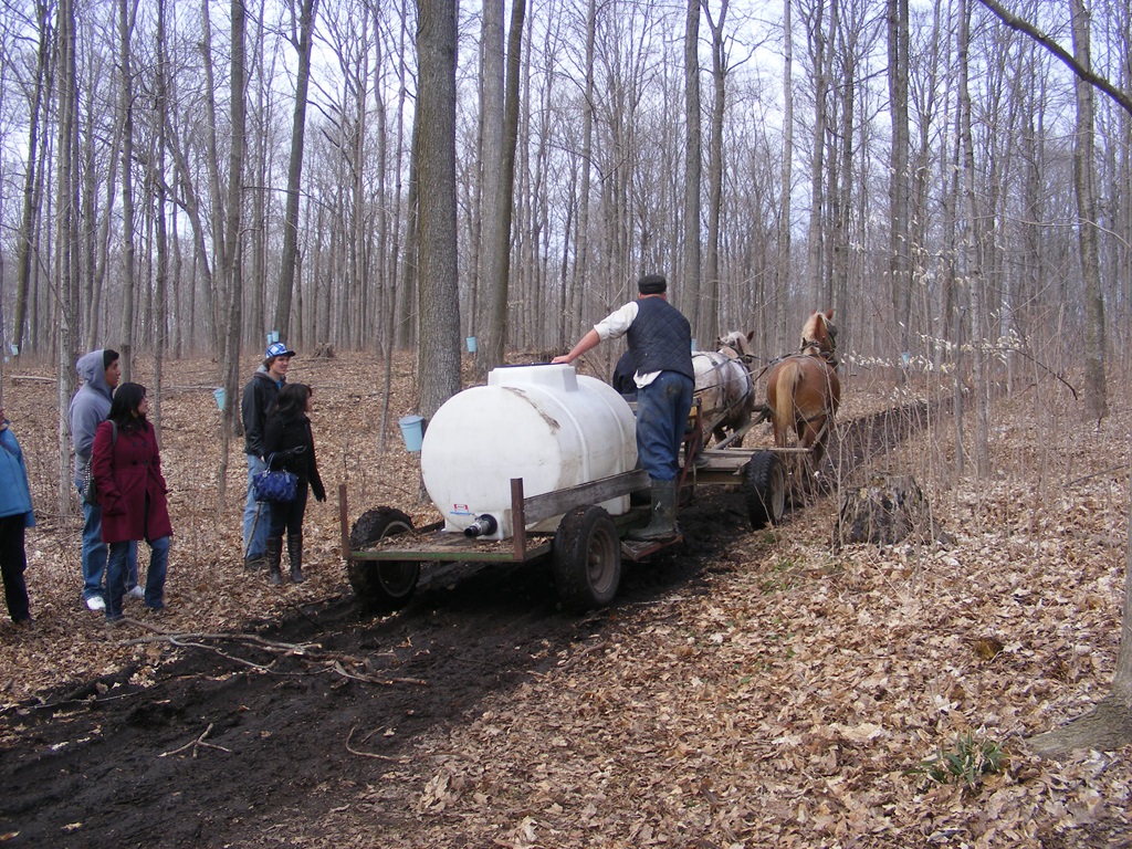 Elmira Maple Syrup Festival - Guide to Agritourism