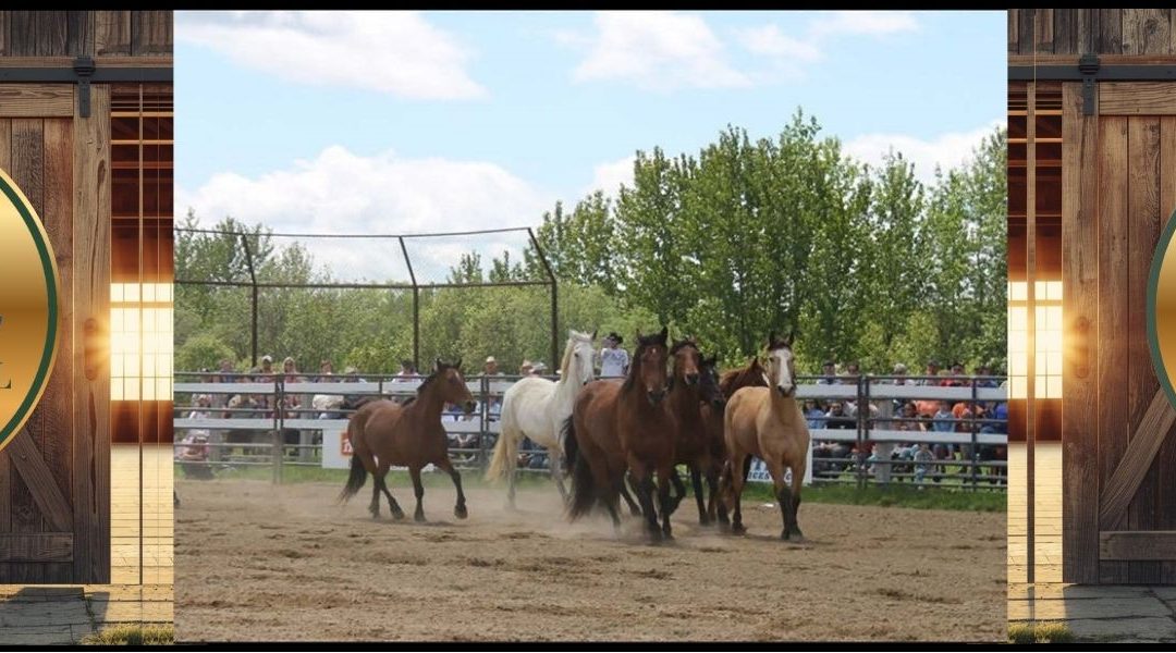 Porquis Fall Fair Showcase
